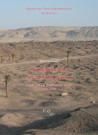 Lucerne da Antinoupolis. Scavi della necropoli nord 1965-1966 - Librerie.coop