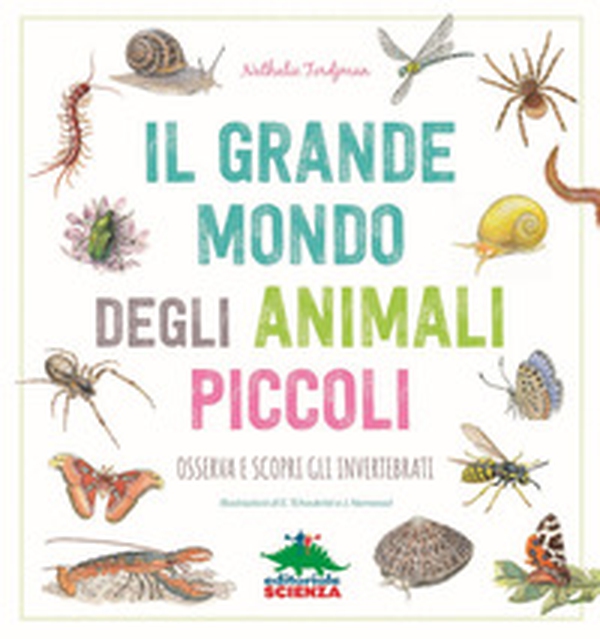 Il grande mondo degli animali piccoli. Osserva e scopri gli invertebrati - Librerie.coop Il grande mondo degli animali piccoli. Osserva e scopri gli invertebrati - Librerie.coop