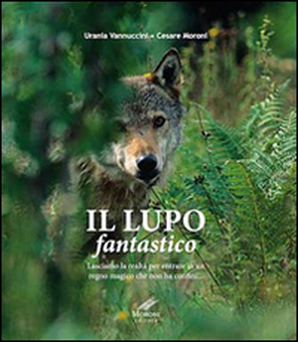 Il lupo fantastico. Lasciamo la realtà per entrare in un regno magico che non ha confini - Librerie.coop Il lupo fantastico. Lasciamo la realtà per entrare in un regno magico che non ha confini - Librerie.coop