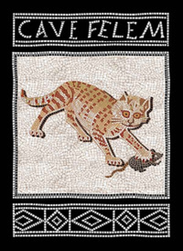 Cave felem. Ediz. italiana e inglese - Librerie.coop Cave felem. Ediz. italiana e inglese - Librerie.coop