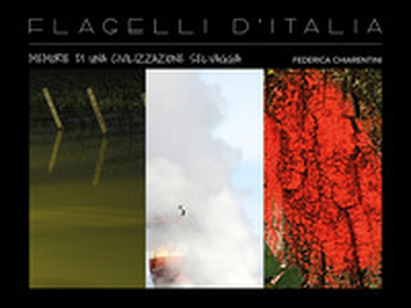 Flagelli d'Italia: memorie di una civilizzazione selvaggia - Librerie.coop Flagelli d'Italia: memorie di una civilizzazione selvaggia - Librerie.coop