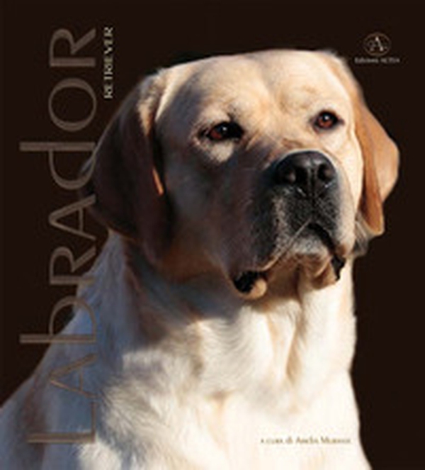 Labrador Retriver. Monografia fotografica - Librerie.coop Labrador Retriver. Monografia fotografica - Librerie.coop