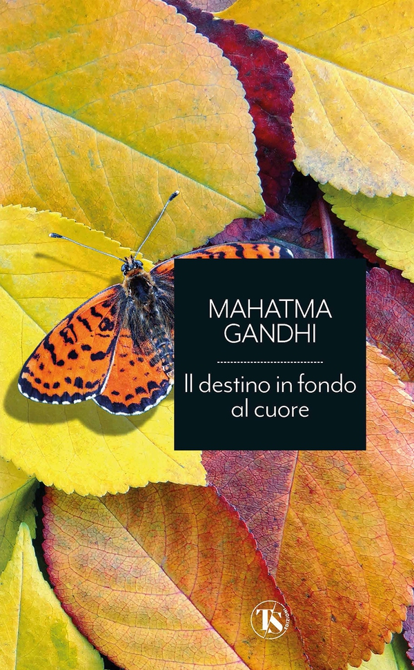 Il destino in fondo al cuore - Librerie.coop Il destino in fondo al cuore - Librerie.coop