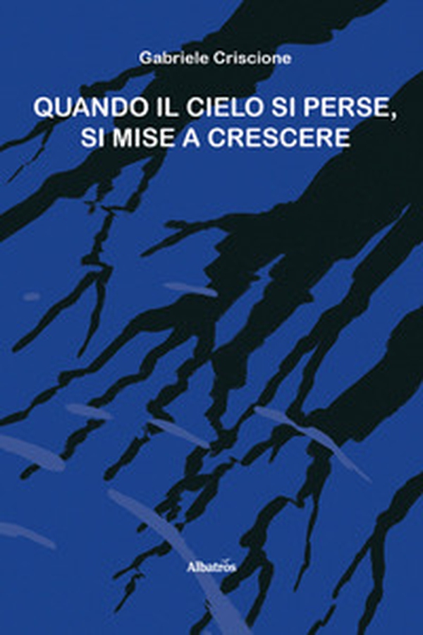 Quando il cielo si perse, si mise a crescere - Librerie.coop