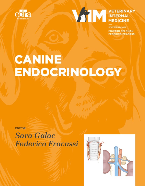 Canine Endocrinology - Librerie.coop Canine Endocrinology - Librerie.coop
