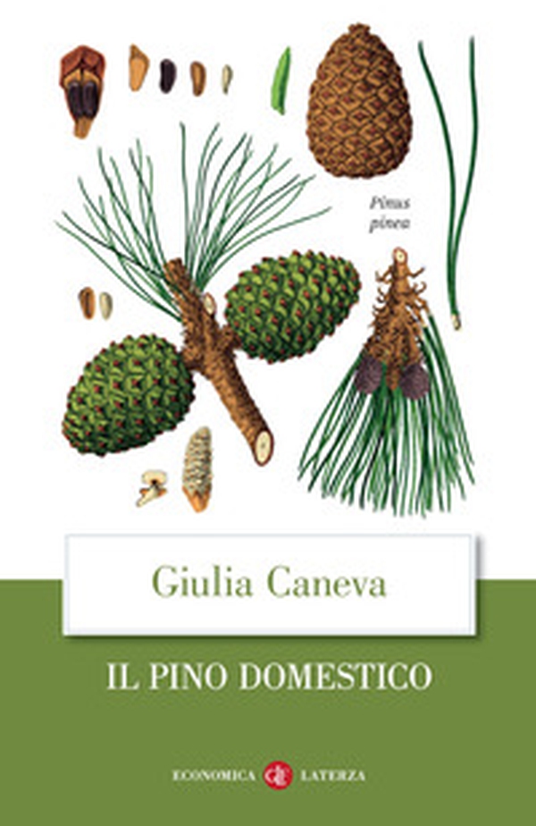 Il pino domestico - Librerie.coop Il pino domestico - Librerie.coop