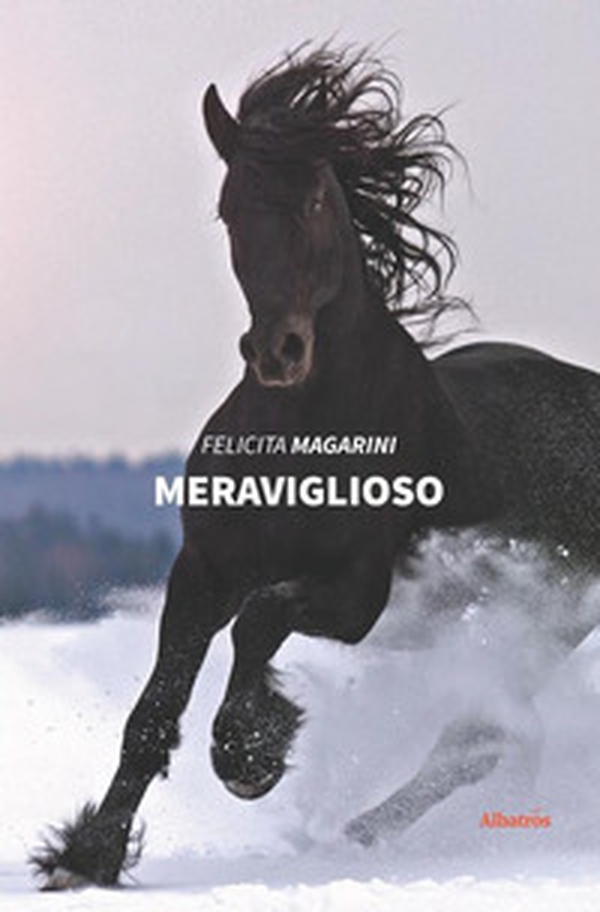Meraviglioso - Librerie.coop Meraviglioso - Librerie.coop