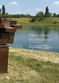 Claudio Borghi. Instabili malintesi - Librerie.coop