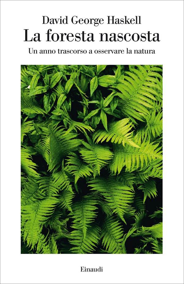 La foresta nascosta - Librerie.coop La foresta nascosta - Librerie.coop