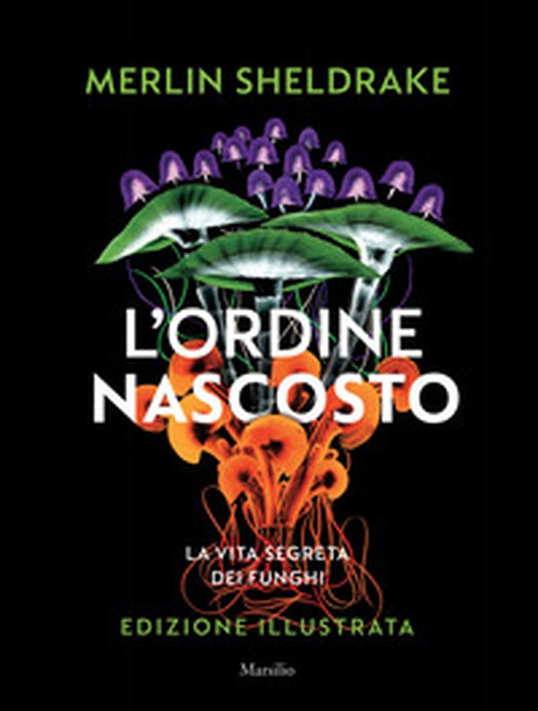 L'ordine nascosto - Librerie.coop L'ordine nascosto - Librerie.coop