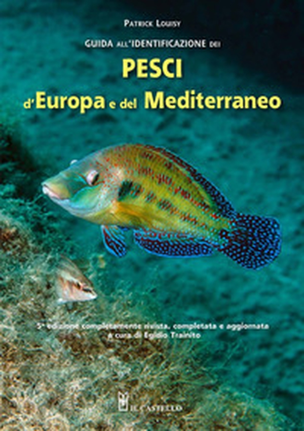 Guida all'identificazione dei pesci marini d'Europa e del Mediterraneo - Librerie.coop Guida all'identificazione dei pesci marini d'Europa e del Mediterraneo - Librerie.coop
