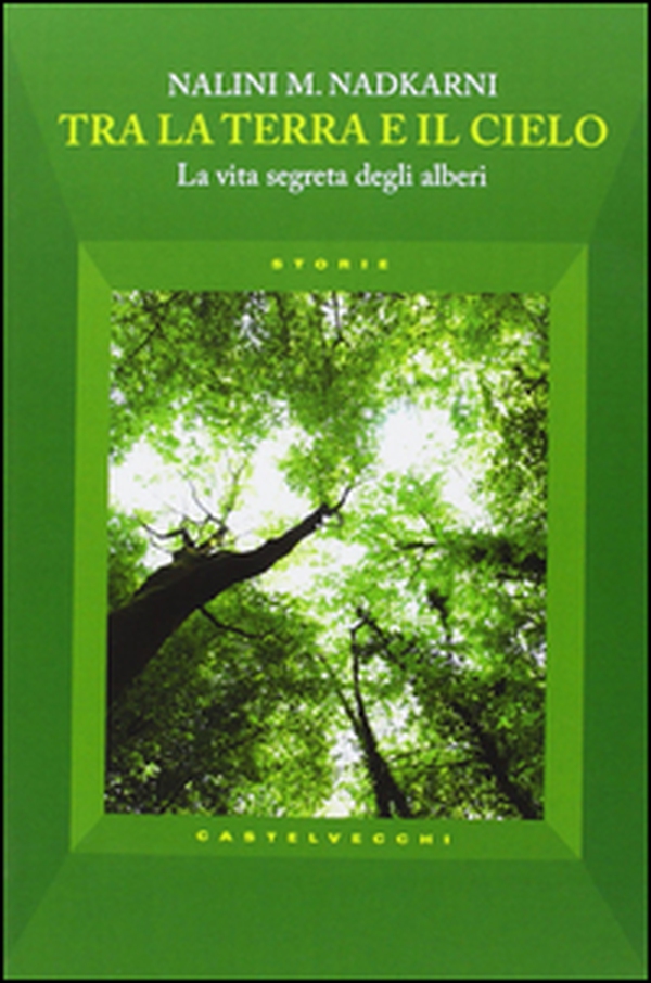 Tra la terra e il cielo. La vita segreta degli alberi - Librerie.coop Tra la terra e il cielo. La vita segreta degli alberi - Librerie.coop