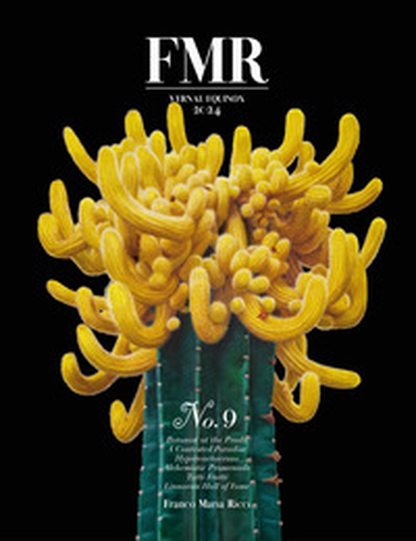 FMR - Vol. 9 - Librerie.coop FMR - Vol. 9 - Librerie.coop