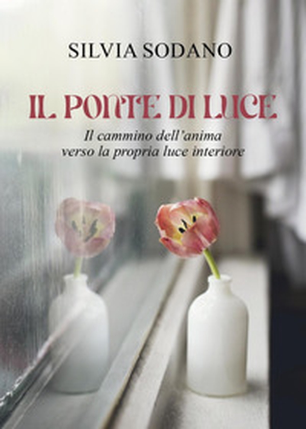 Il ponte di luce - Librerie.coop