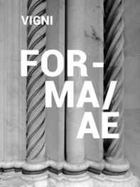Forma/ae. Siena dentro e fuori. Ediz. italiana e inglese - Librerie.coop
