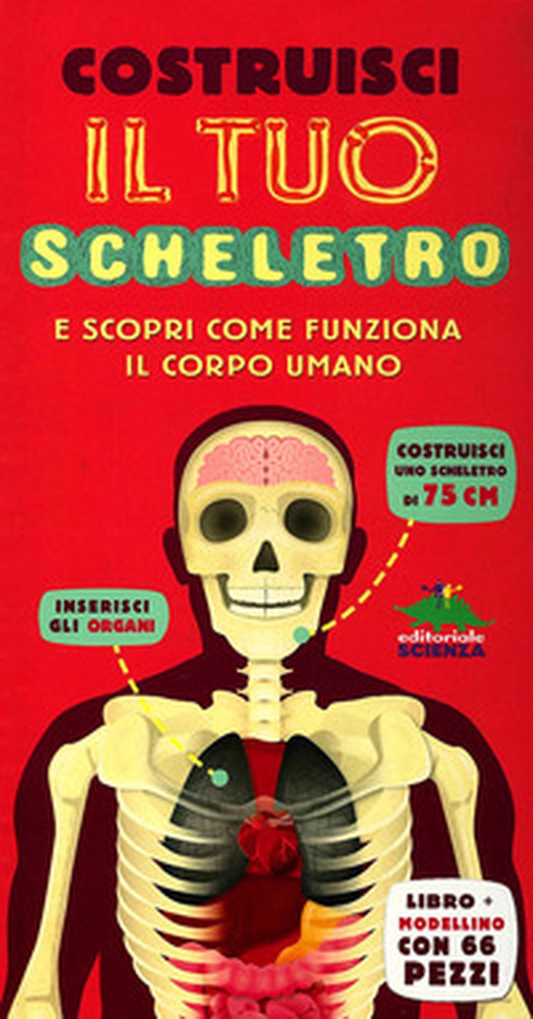 Costruisci il tuo scheletro e scopri come funziona il corpo umano - Librerie.coop Costruisci il tuo scheletro e scopri come funziona il corpo umano - Librerie.coop