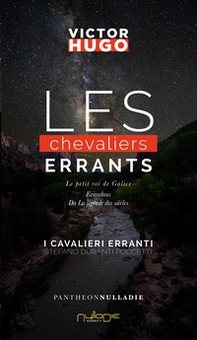 Les chevaliers errants-I cavalieri erranti - Librerie.coop