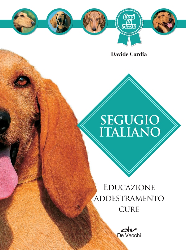 Segugio italiano - Librerie.coop Segugio italiano - Librerie.coop
