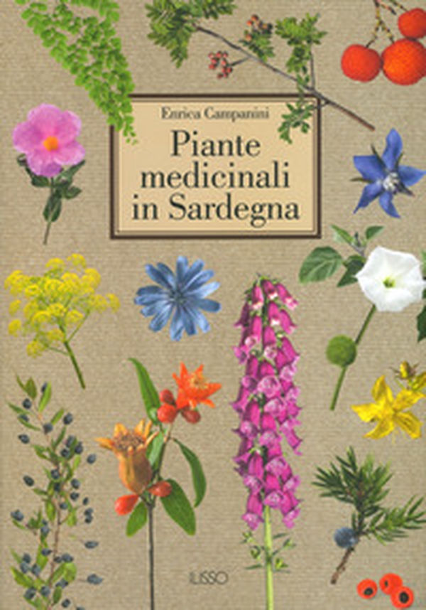 Piante medicinali in Sardegna - Librerie.coop Piante medicinali in Sardegna - Librerie.coop