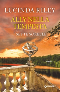 Ally nella tempesta - Librerie.coop
