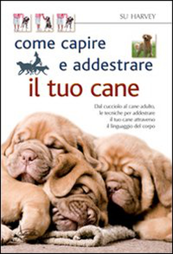 Come capire e addestrare il tuo cane - Librerie.coop Come capire e addestrare il tuo cane - Librerie.coop