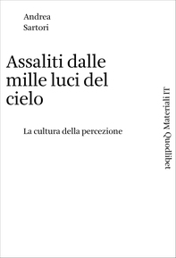 Assaliti dalle mille luci del cielo - Librerie.coop