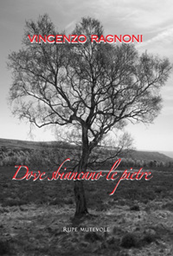 Dove sbiancano le pietre - Librerie.coop Dove sbiancano le pietre - Librerie.coop
