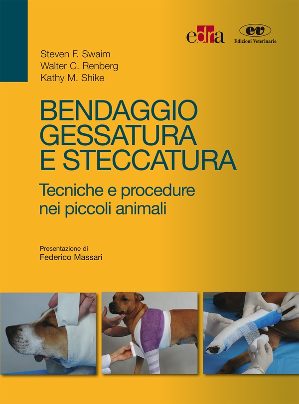 Bendaggio, gessatura e steccatura - Librerie.coop Bendaggio, gessatura e steccatura - Librerie.coop