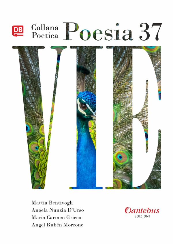 Collana Poetica Vie vol. 37 - Librerie.coop Collana Poetica Vie vol. 37 - Librerie.coop