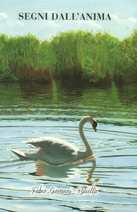 Fabio Giovanni Baietta. Segni dall'anima - Librerie.coop