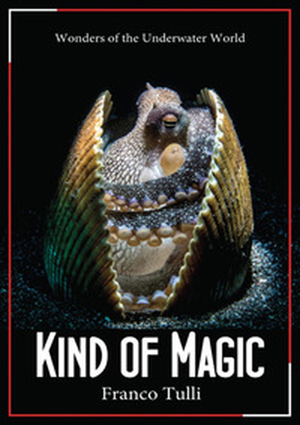 Kind of magic. Wonders of the underwater world - Librerie.coop Kind of magic. Wonders of the underwater world - Librerie.coop