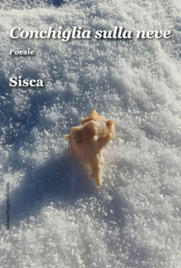 Conchiglia sulla neve - Librerie.coop