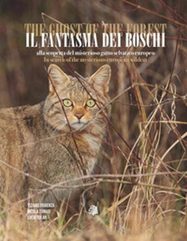 Il fantasma dei boschi. Alla scoperta del misterioso gatto selvatico europeo-The ghost of the forest. In search of the mysterious euroepan wildcat - Librerie.coop Il fantasma dei boschi. Alla scoperta del misterioso gatto selvatico europeo-The ghost of the forest. In search of the mysterious euroepan wildcat - Librerie.coop