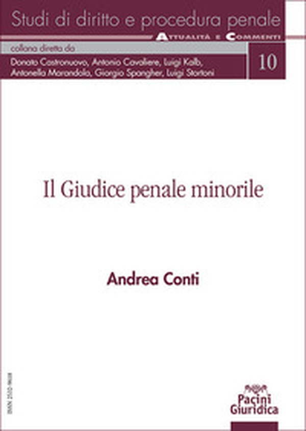 Il giudice penale minorile - Librerie.coop