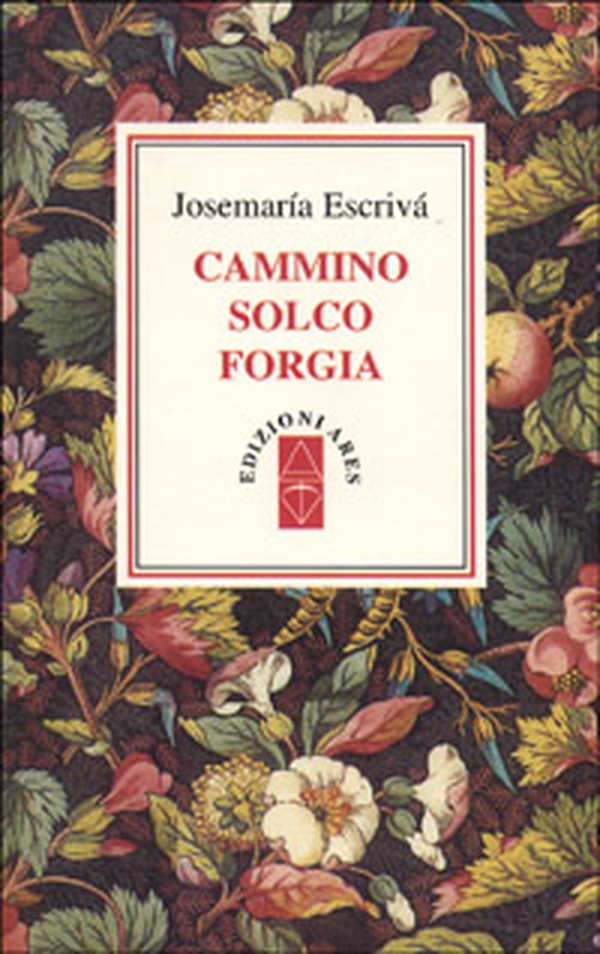 Cammino solco forgia - Librerie.coop