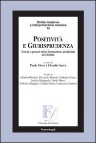 Positività e giurisprudenza. Teoria e prassi nella formazione giudiziale del diritto - Librerie.coop