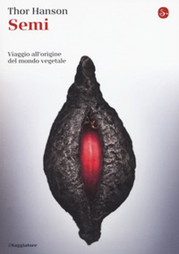 Semi. Viaggio all'origine del mondo vegetale - Librerie.coop Semi. Viaggio all'origine del mondo vegetale - Librerie.coop