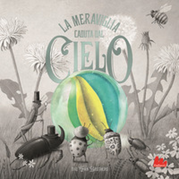 La meraviglia caduta dal cielo - Librerie.coop La meraviglia caduta dal cielo - Librerie.coop