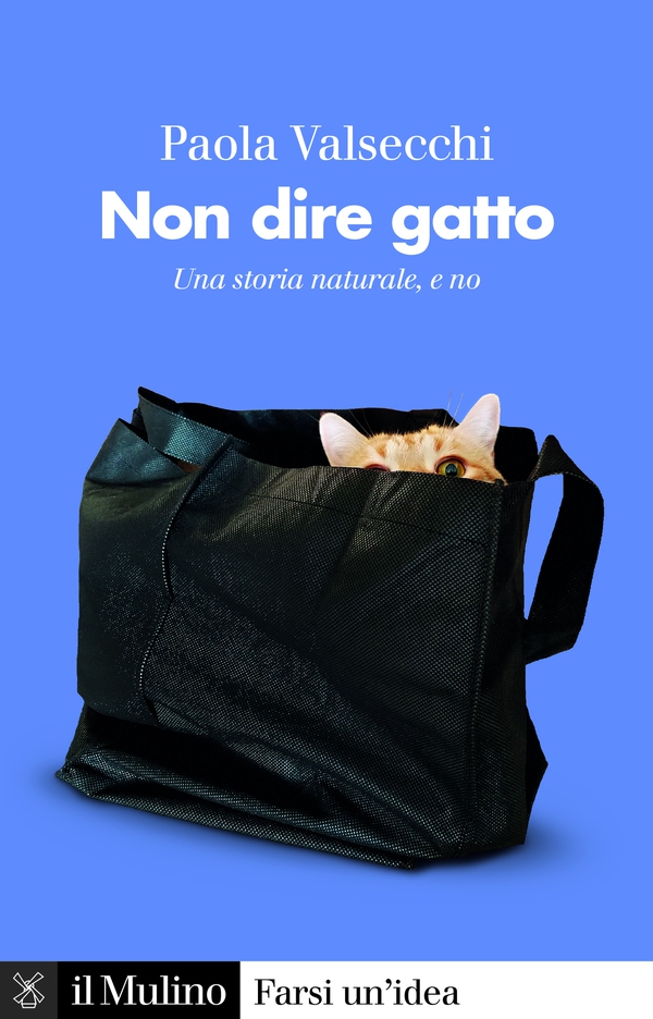 Non dire gatto - Librerie.coop Non dire gatto - Librerie.coop