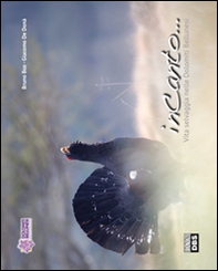 InCanto... Vita selvagia nelle Dolomiti Bellunesi - Librerie.coop