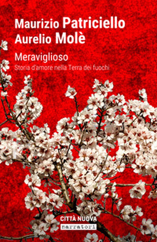 Meraviglioso. Storia d'amore nella «terra dei fuochi» - Librerie.coop Meraviglioso. Storia d'amore nella «terra dei fuochi» - Librerie.coop