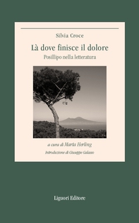 Là dove finisce il dolore - Librerie.coop Là dove finisce il dolore - Librerie.coop