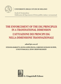The Enforcement of the ESG Principles in a Transnational Dimension - Librerie.coop