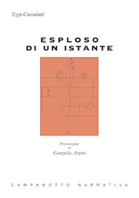 Esploso di un istante - Librerie.coop