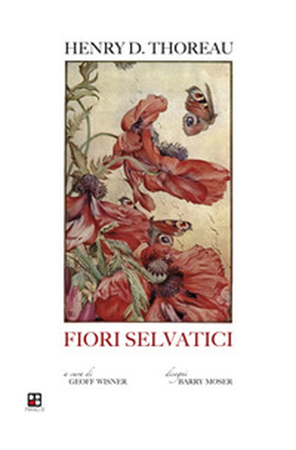 Fiori selvatici: escursioni botaniche e contemplazioni della natura - Librerie.coop Fiori selvatici: escursioni botaniche e contemplazioni della natura - Librerie.coop