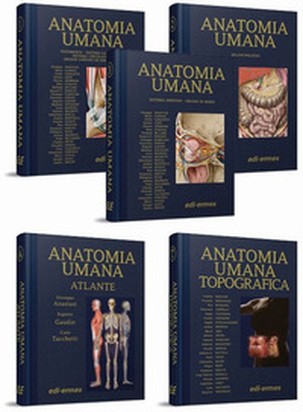 Anatomia umana. Il Trattato e l'Atlante - Librerie.coop Anatomia umana. Il Trattato e l'Atlante - Librerie.coop