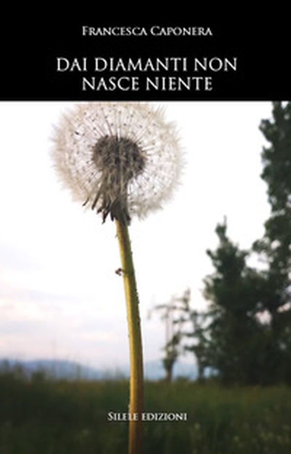Dai diamanti non nasce niente - Librerie.coop Dai diamanti non nasce niente - Librerie.coop