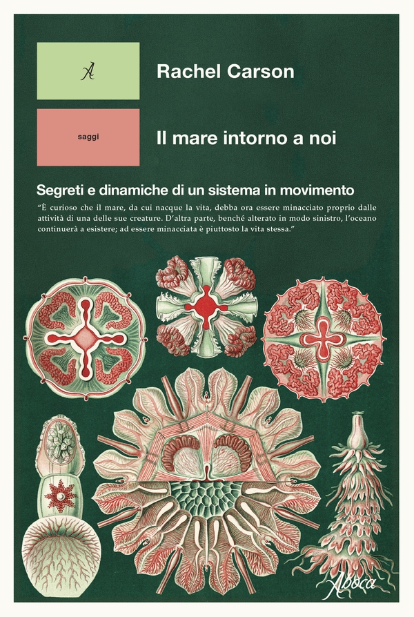 Il mare intorno a noi - Librerie.coop