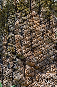 Zikomo 1977-2018. Padre Mario Pacifici, 41 anni di gioia non terminata in Malawi - Librerie.coop