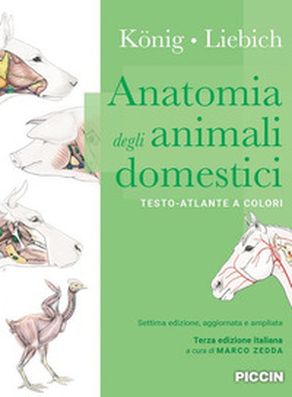 Anatomia degli animali domestici. Testo-atlante a colori - Librerie.coop Anatomia degli animali domestici. Testo-atlante a colori - Librerie.coop